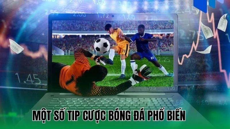 Một số tip cược bóng đá phổ biến